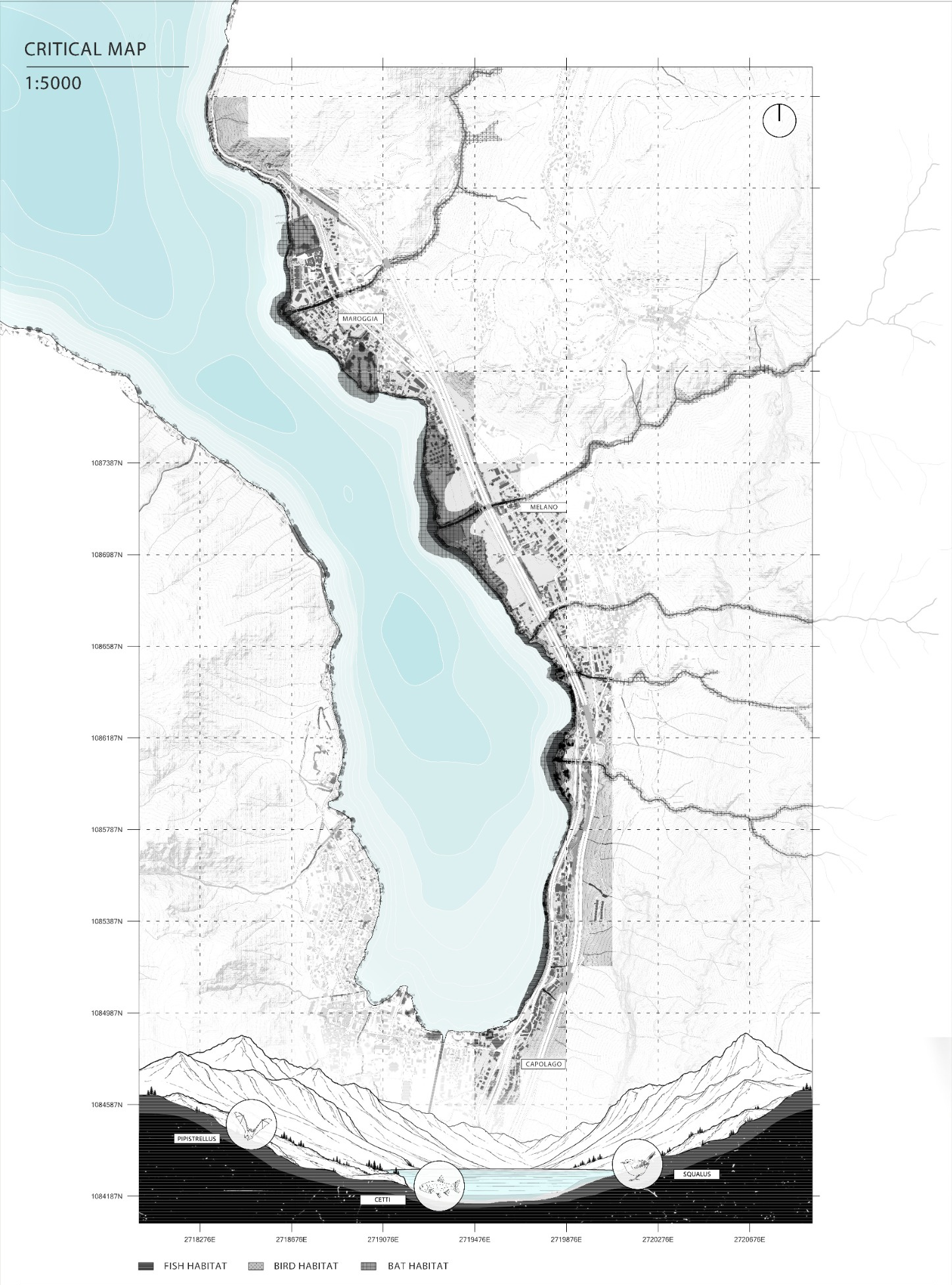 Critical Map