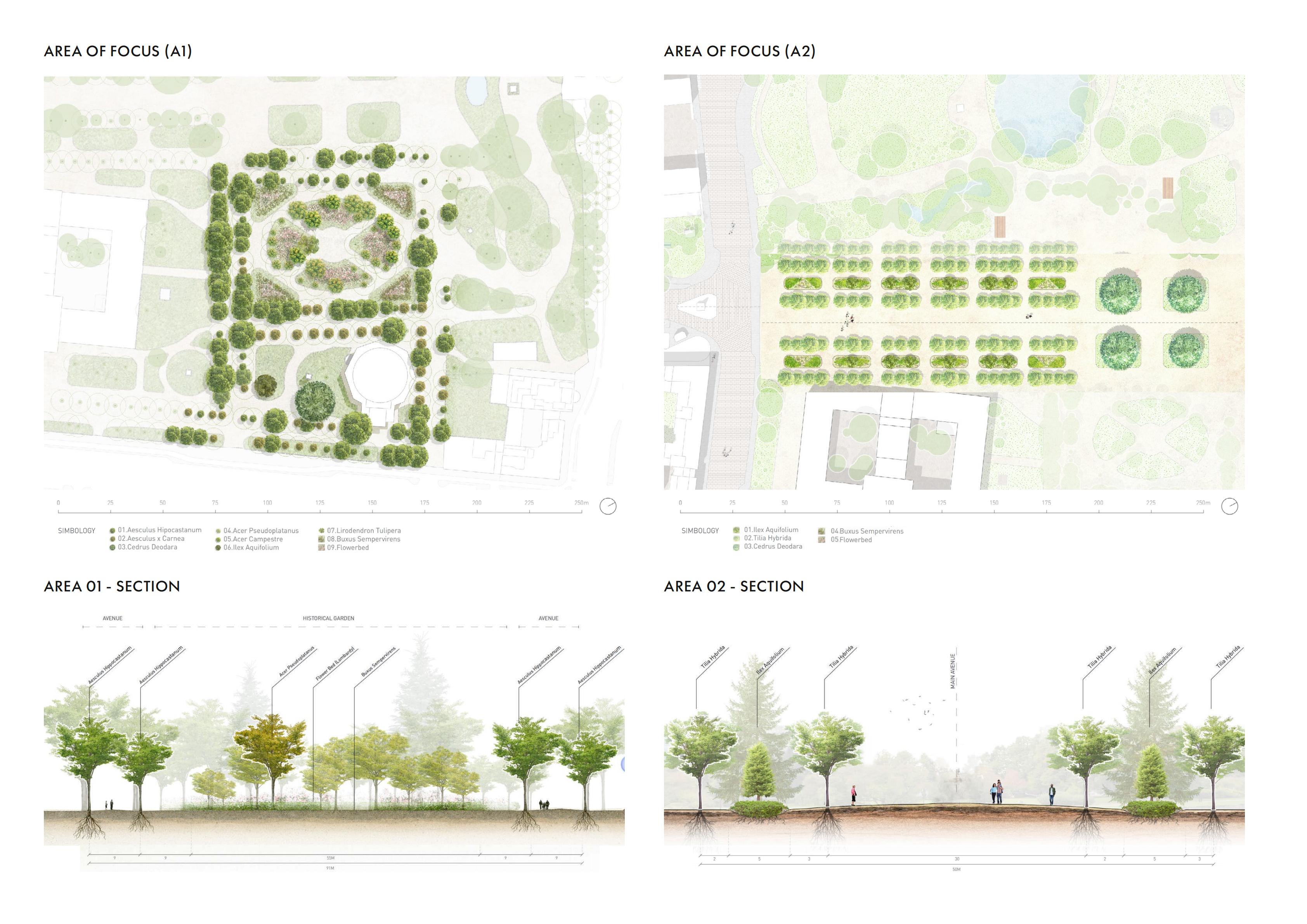 Focus Areas and Planting Sections