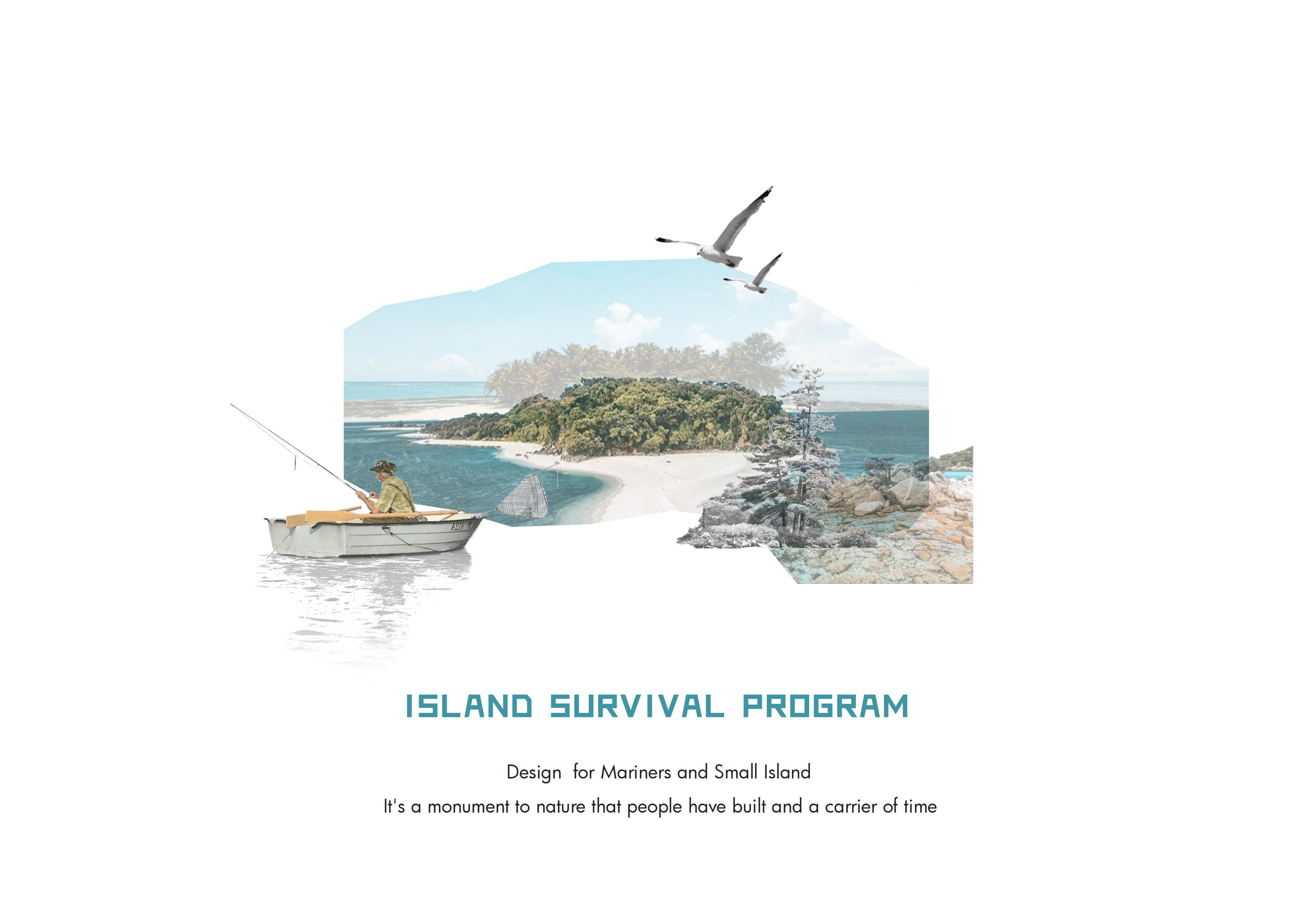 Island Vision